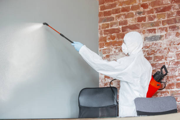 Best Environmental Consulting for Mold Prevention  in Hartford City, IN