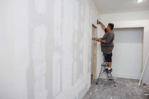Best Asbestos and Lead Testing During Mold Inspection  in Hartford City, IN