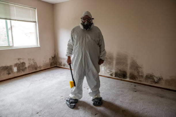 Best Basement Mold Removal  in Hartford City, IN