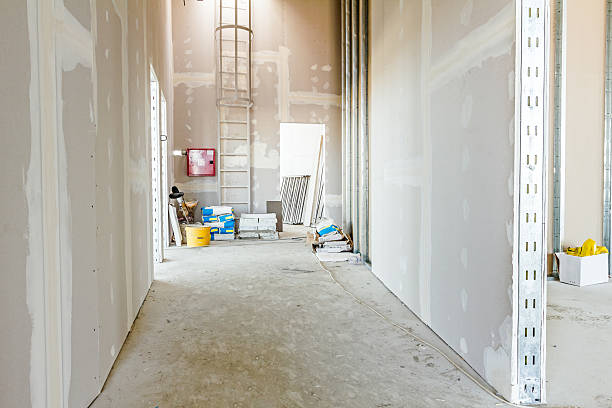 Mold Documentation for Insurance Claims in Hartford City, IN