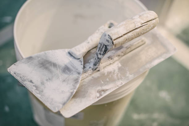 Best Attic Mold Removal  in Hartford City, IN